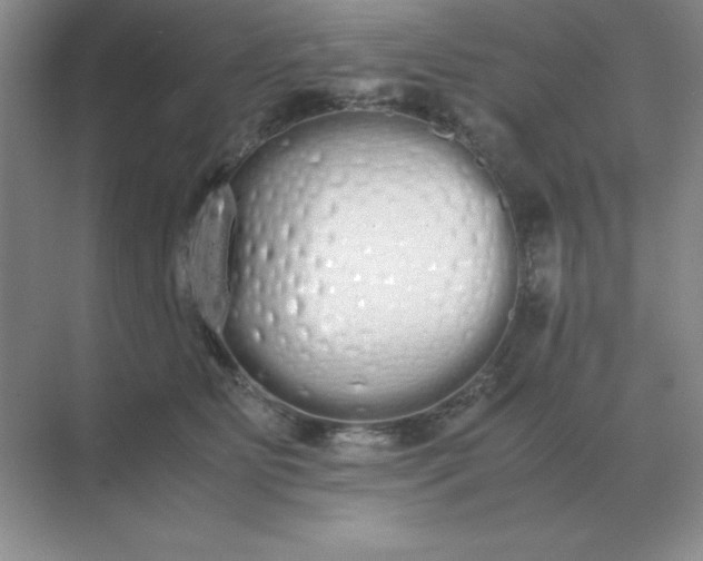 X0000071930515200607212137