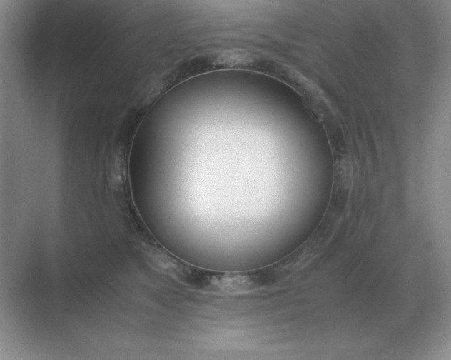 X0000071930517200607212137