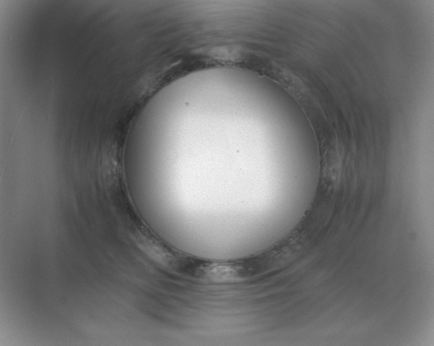X0000071930518200607212137