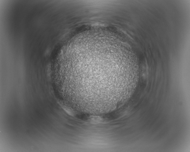 X0000071930519200607212137