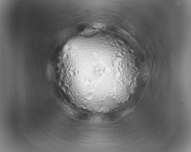 X0000071930523200607212137
