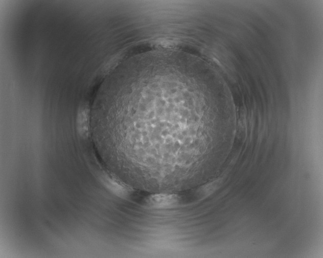 X0000071930526200607212137