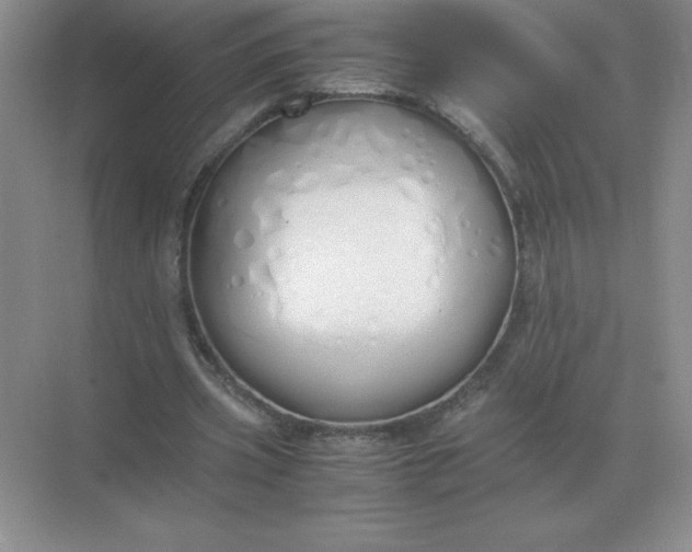 X0000071930533200607212136