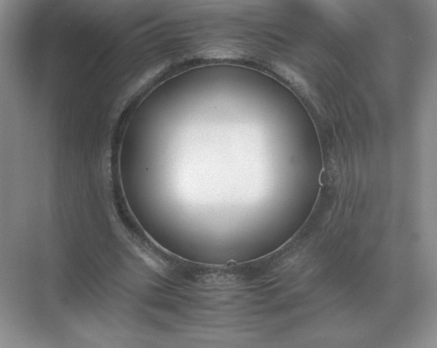 X0000071930535200607212136