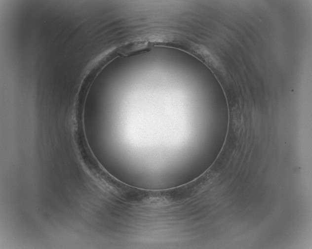 X0000071930536200607212136