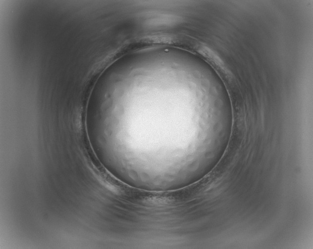 X0000071930537200607212136