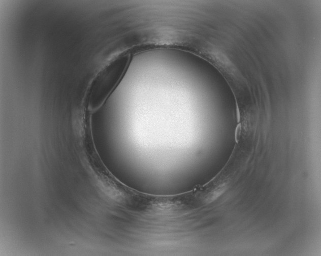 X0000071930540200607212136