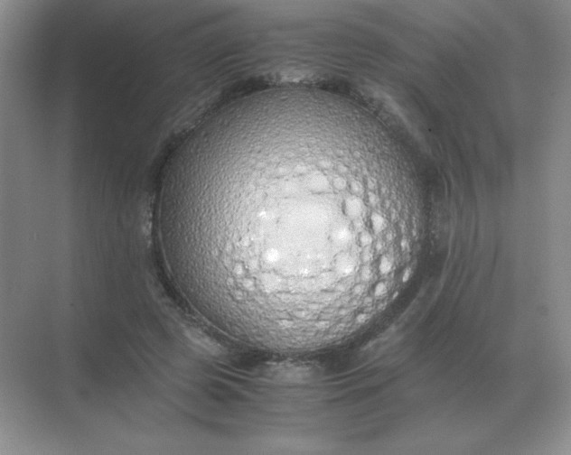 X0000071930545200607212137