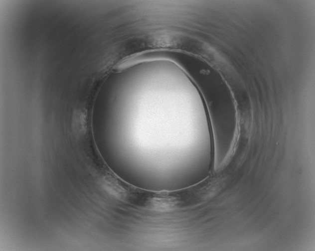 X0000071930556200607212137