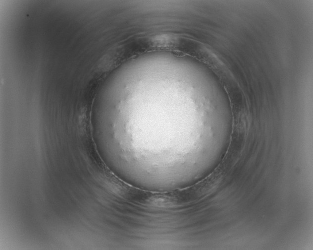 X0000071930557200607212137