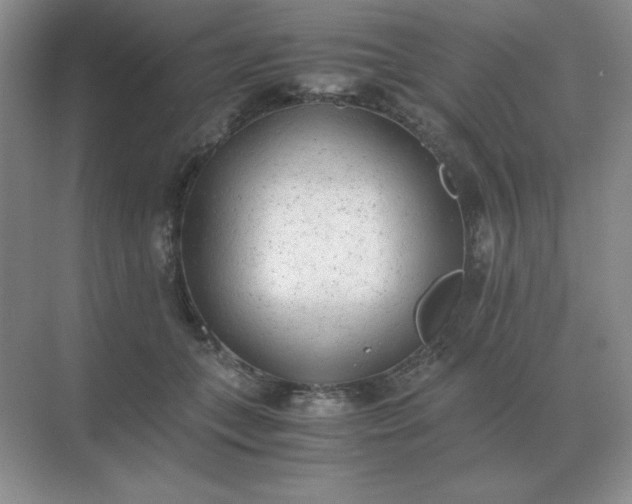 X0000071930559200607212137