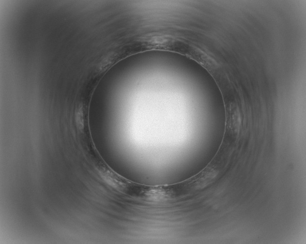 X0000071930562200607212137