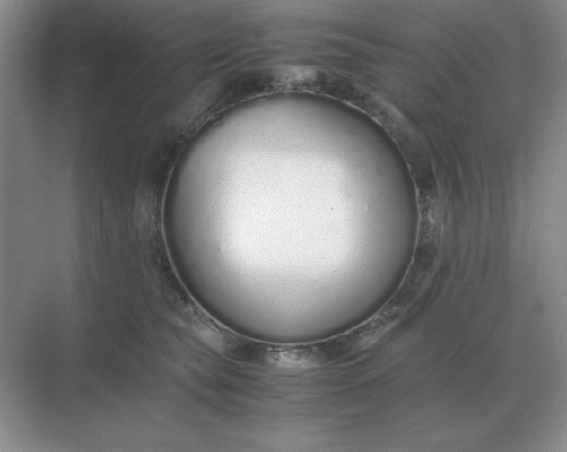 X0000071930565200607212137