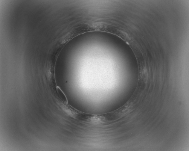 X0000071930566200607212137