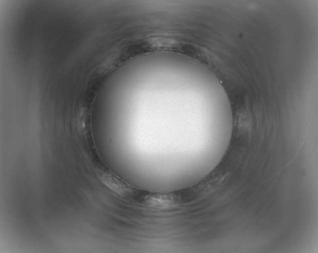 X0000071930567200607212137