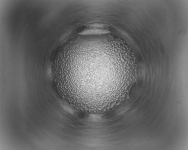 X0000071930573200607212137