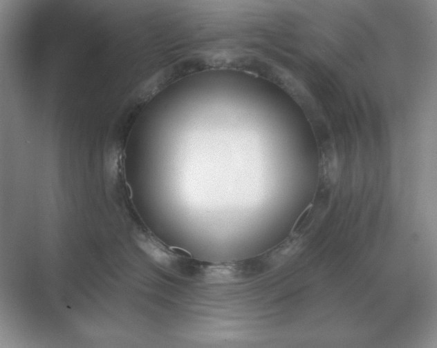 X0000071930574200607212137