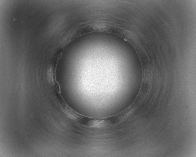 X0000071930575200607212137