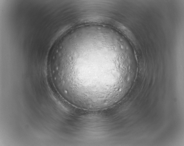 X0000071930578200607212136