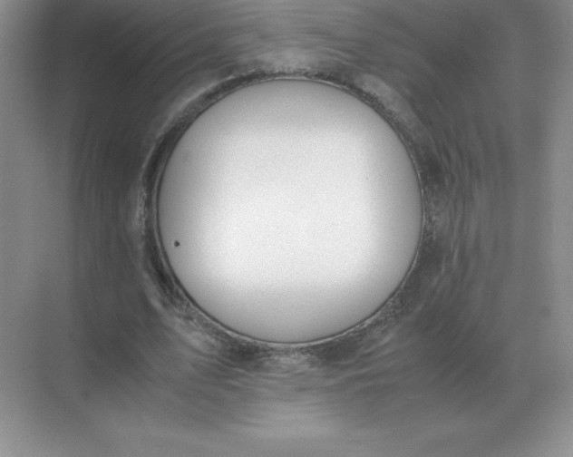 X0000071930583200607212136