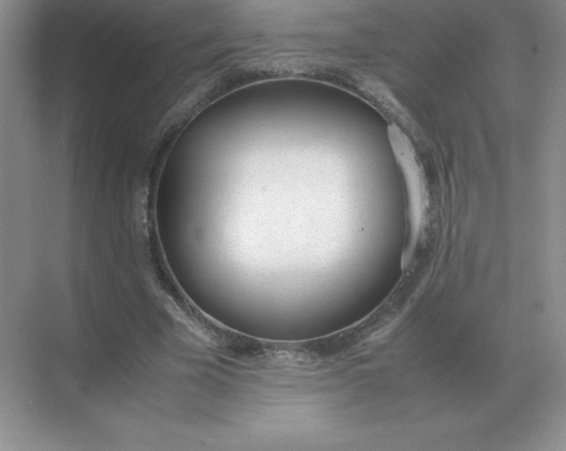 X0000071930585200607212136
