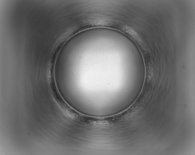 X0000071930586200607212136