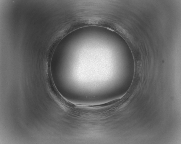 X0000071930589200607212136
