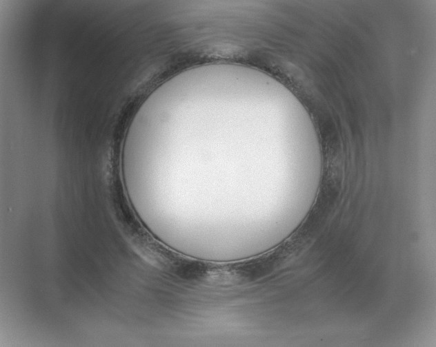 X0000071930591200607212136