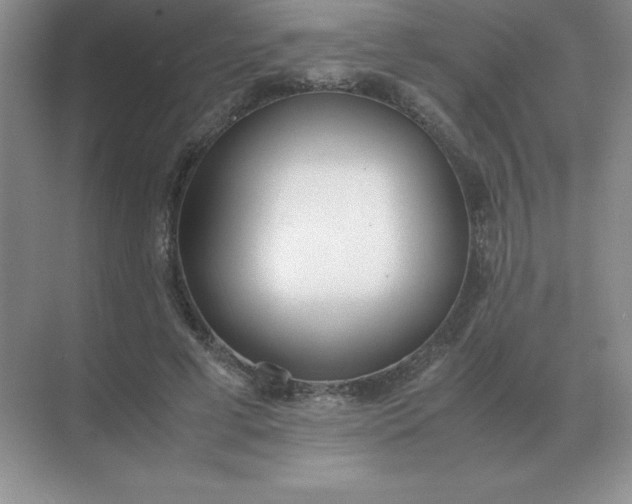 X0000071930593200607212136
