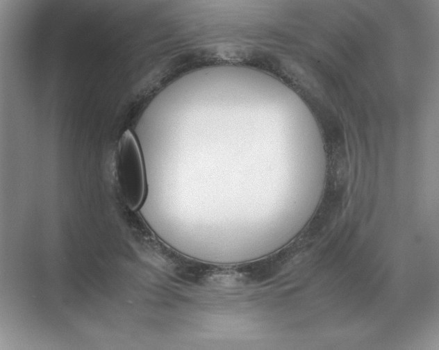 X0000071930595200607212136