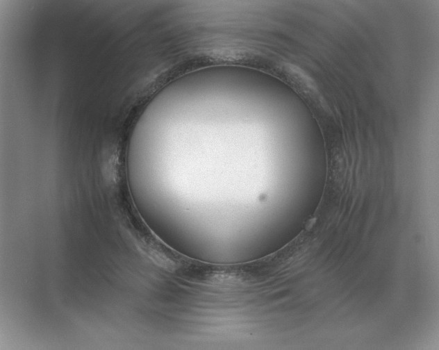 X0000071930596200607212136