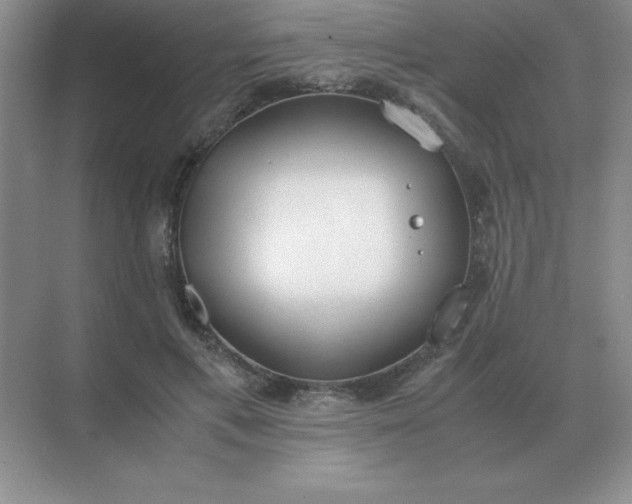 X0000071930597200607212136