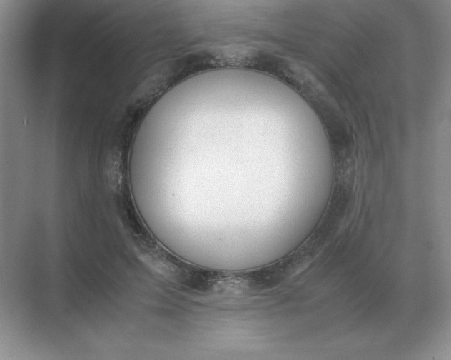 X0000071930599200607212136