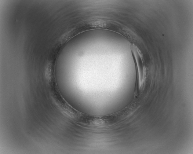 X0000071930600200607212136