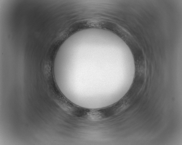 X0000071930603200607212136