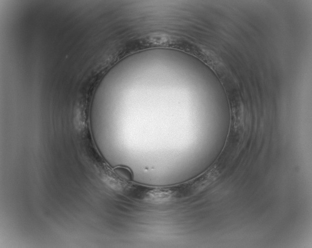 X0000071930606200607212136