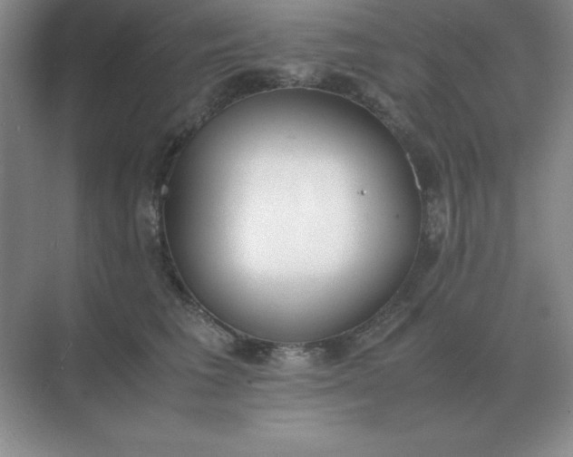 X0000071930613200607212136