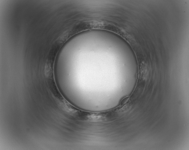X0000071930614200607212136