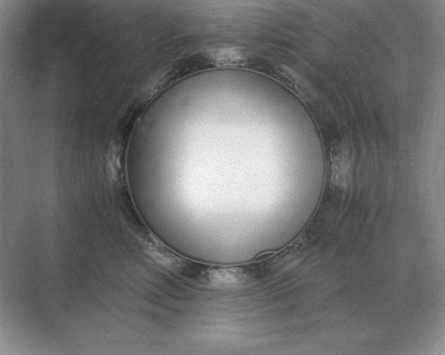 X0000071930618200607212136