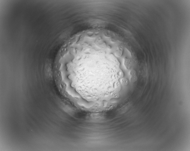 X0000071930622200607212135