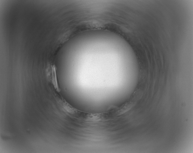 X0000071930624200607212135