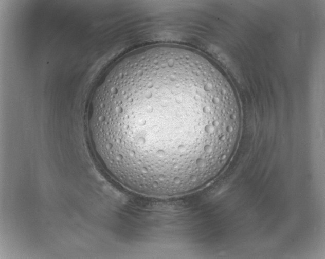 X0000071930625200607212135