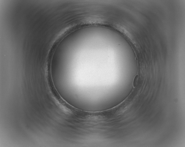 X0000071930629200607212135