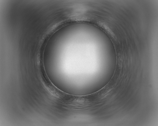 X0000071930631200607212135