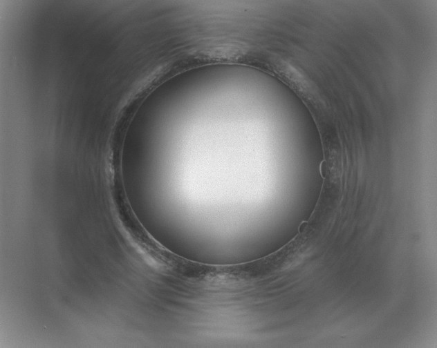 X0000071930634200607212135