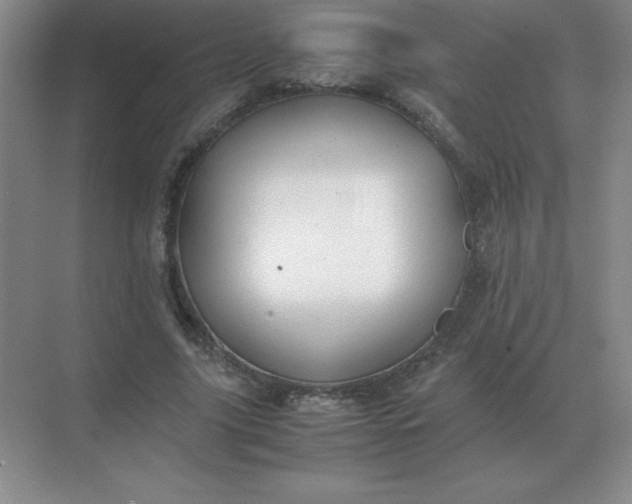 X0000071930635200607212135