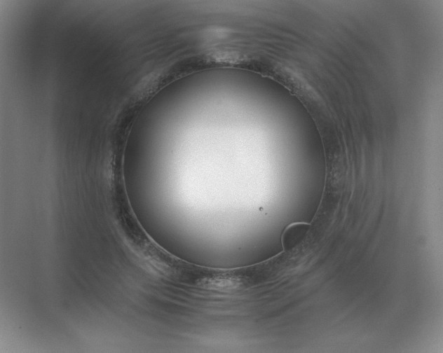 X0000071930639200607212135