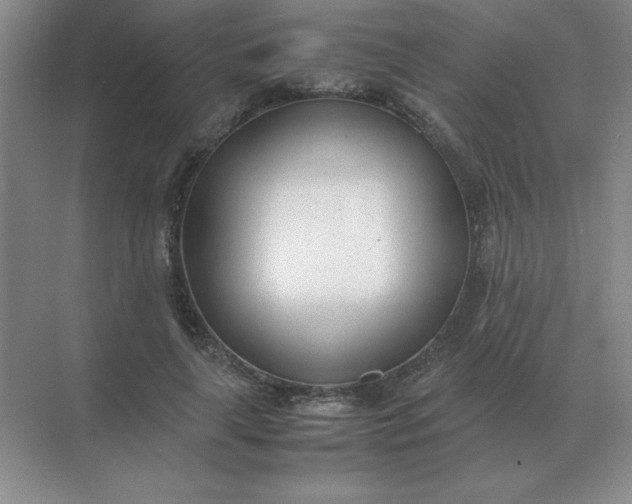 X0000071930643200607212135