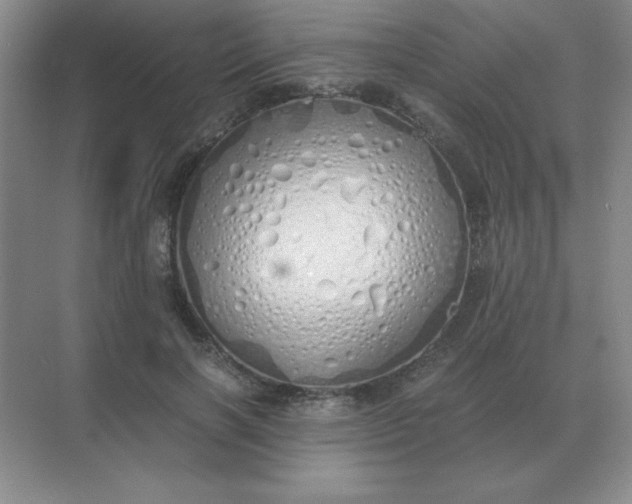 X0000071930646200607212135