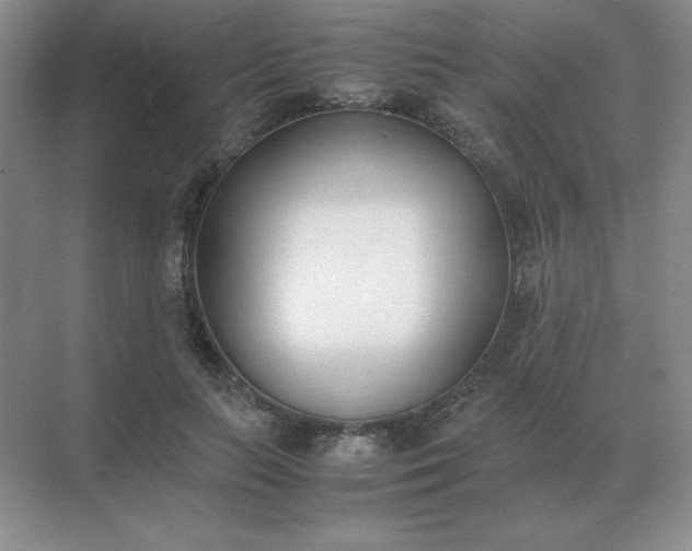 X0000071930647200607212135